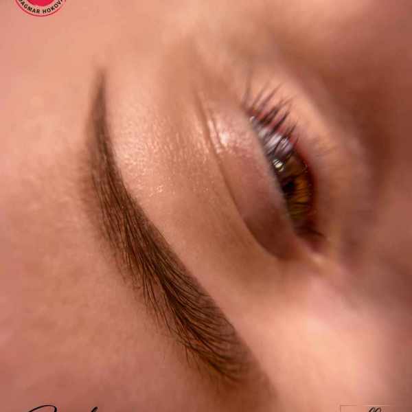 zahojené powder brows